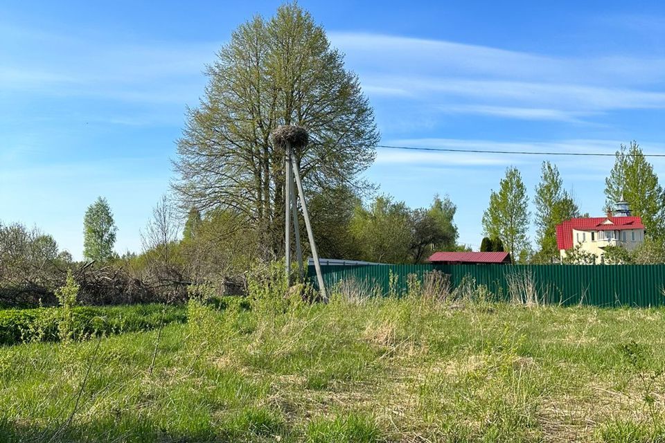 земля р-н Великолукский фото 1