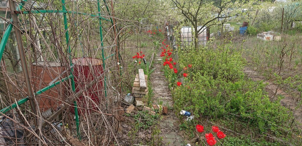 земля г Лыткарино садоводческое некоммерческое товарищество собственников недвижимости Взлёт, 150, Котельники фото 7