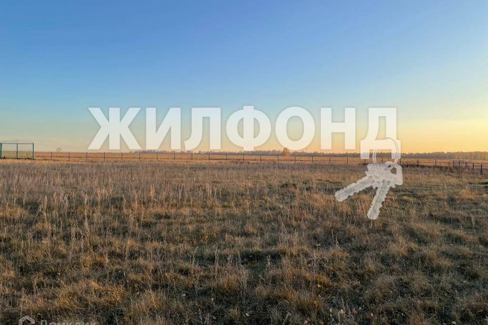 земля р-н Новосибирский п Тулинский ул Тимирязева фото 2