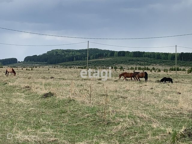 земля р-н Березовский фото 8