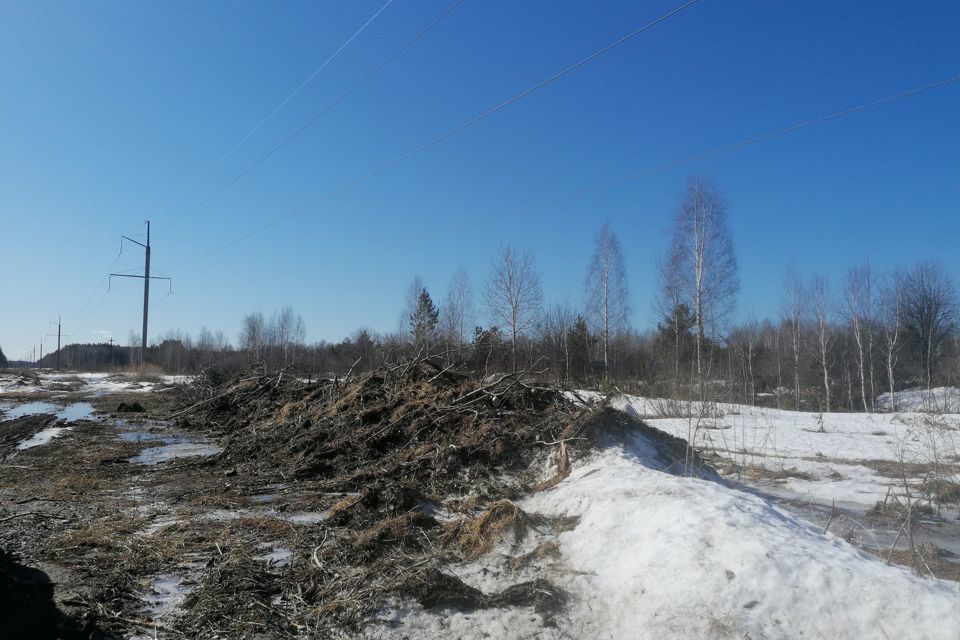 земля р-н Нижнетавдинский фото 2