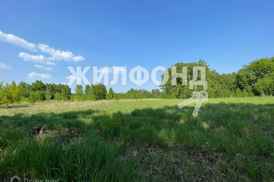 земля р-н Новосибирский фото 10