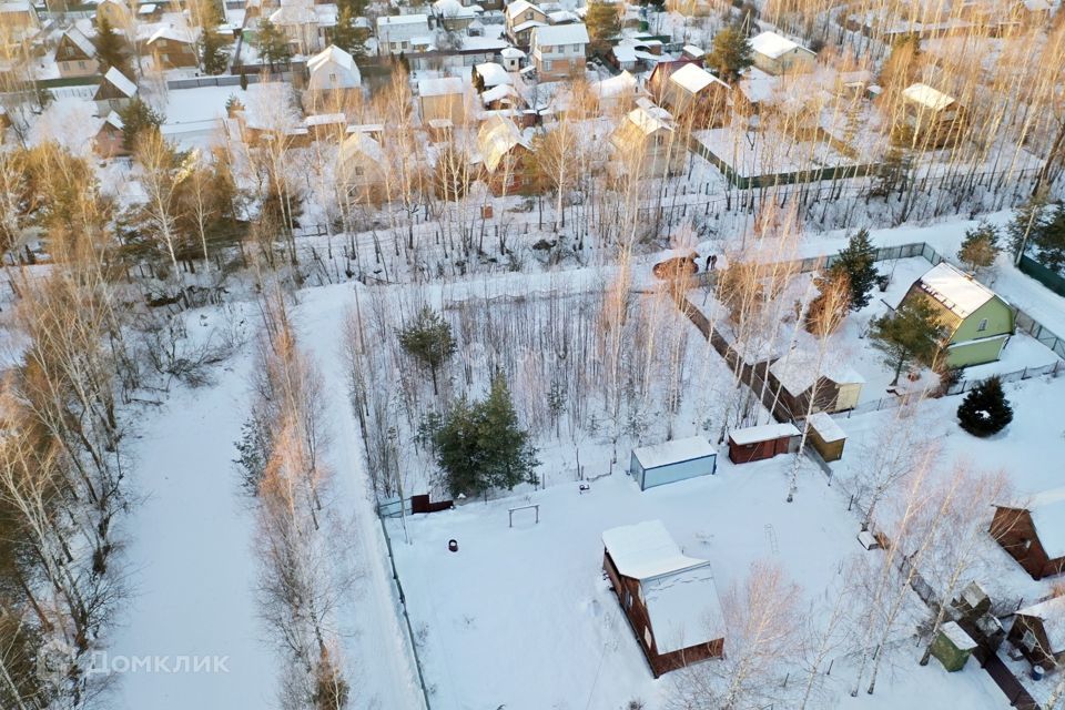 земля городской округ Богородский г Ногинск снт Ветеран-ЦАО фото 5