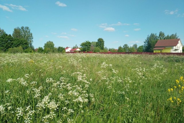 г Переславль-Залесский село Красное, Центральная улица фото