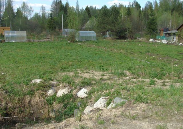 Лисинское сельское поселение, садоводческий массив Восточное Радофинниково, Любань фото