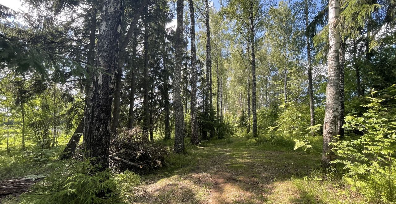 земля г Истра д Рождествено городской округ Истра, Глебовский фото 11