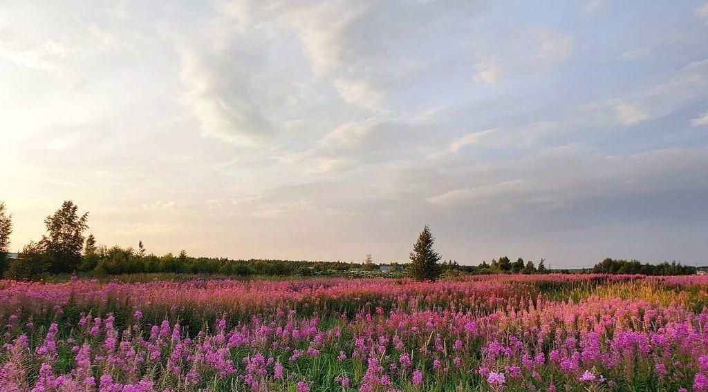 квартира р-н Всеволожский Янино-1 городской поселок, ул. Ясная, 11к 6 фото 28