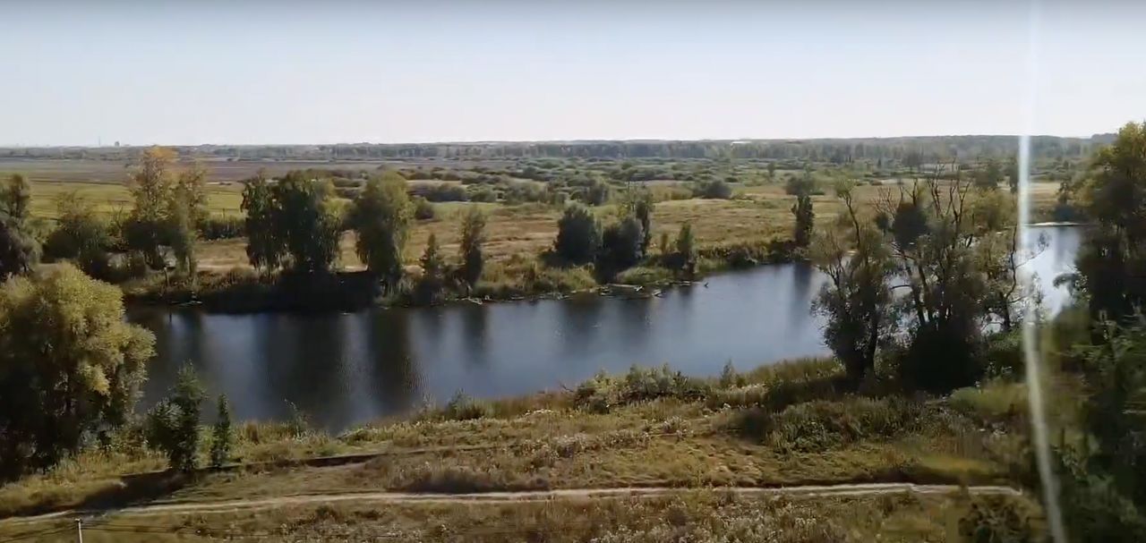 земля р-н Новосибирский п Приобский сельсовет, Кудряшовский фото 8