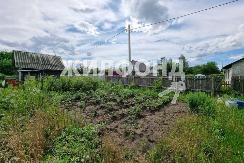 дом р-н Брянский с Толмачево ул Ольховая 15 фото 9