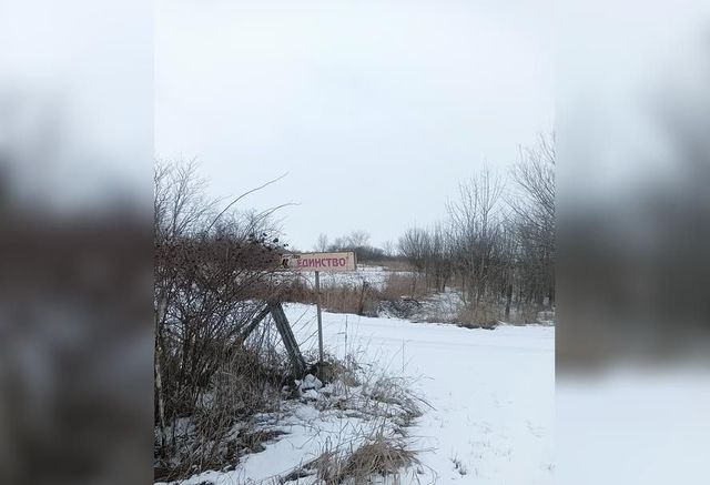 земля Кировское сельское поселение фото