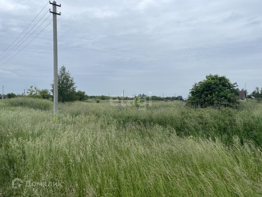 земля р-н Знаменский д Даниловка ул Школьная 29 фото 2