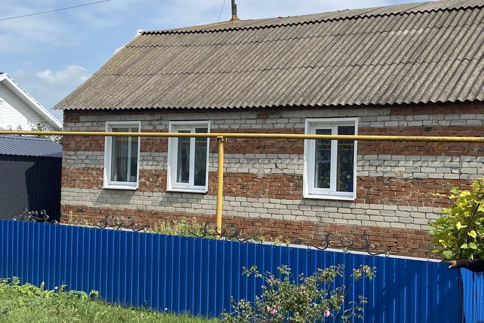 Куры Купить В Каширском Районе Московской Области