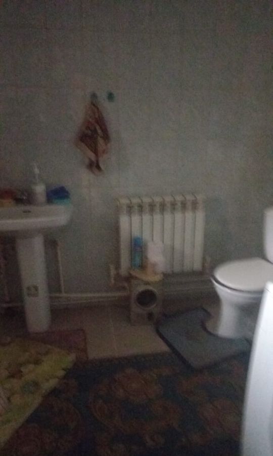 дом г Рассказово ул Гагарина 69/1 фото 13