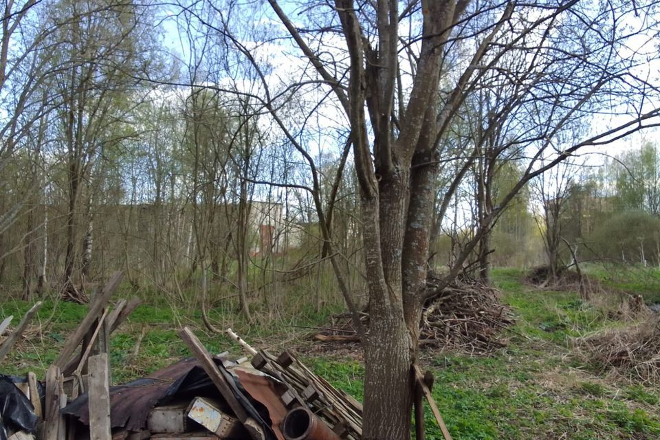 земля р-н Тосненский фото 1
