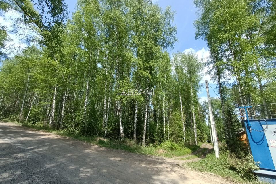земля г Дивногорск фото 3