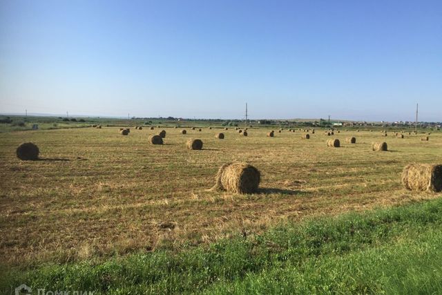 ул Карла Маркса фото