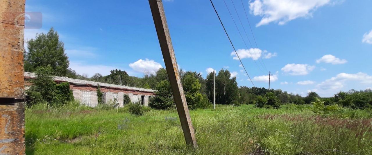 свободного назначения г Воронеж р-н Железнодорожный Петровские озера кп, Петровские Озера-1 кв-л, 23 фото 16