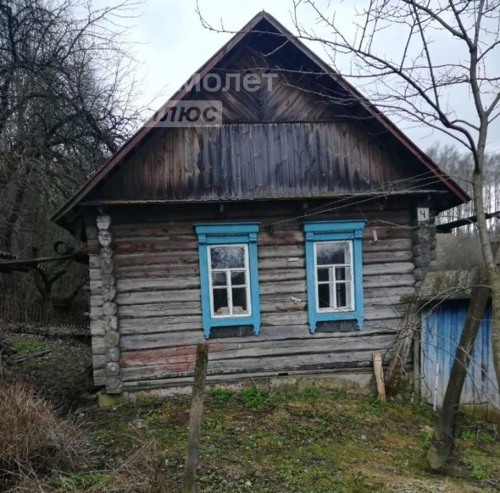 дом р-н Стародубский с Селище пер Мирный 4 фото 8