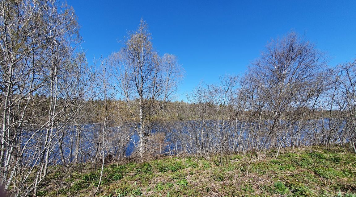 офис р-н Пряжинский д Киндасово Пряжинское городское поселение фото 10