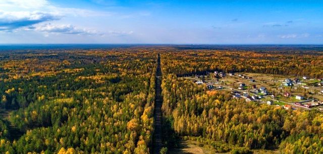 городской округ Истра п Глебовский садовое товарищество Осинки, г. о. Истра фото