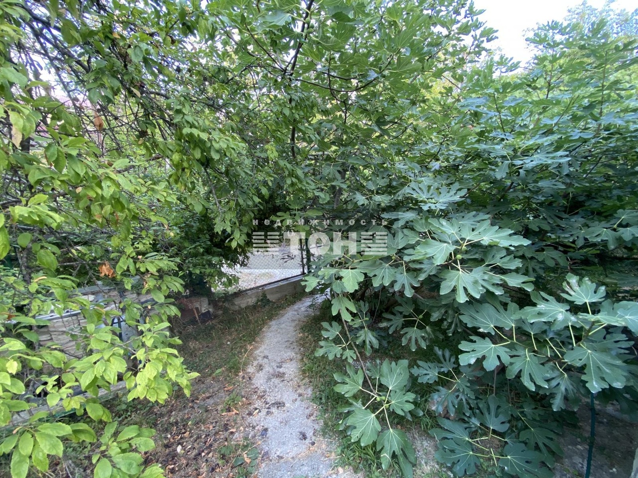 дом г Геленджик ул Просторная 1г фото 20