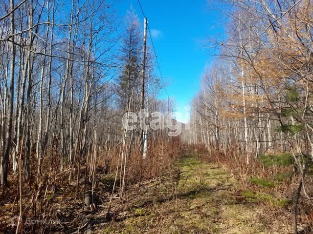 земля городской округ Южно-Сахалинск, село Санаторное фото 6