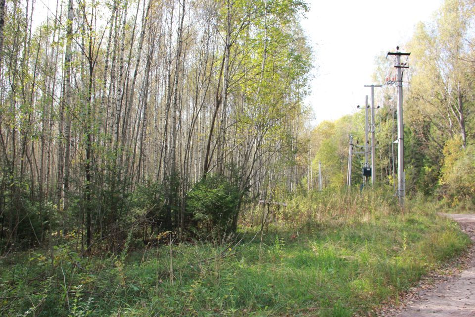 земля городской округ Переславль-Залесский, деревня Красногор фото 7