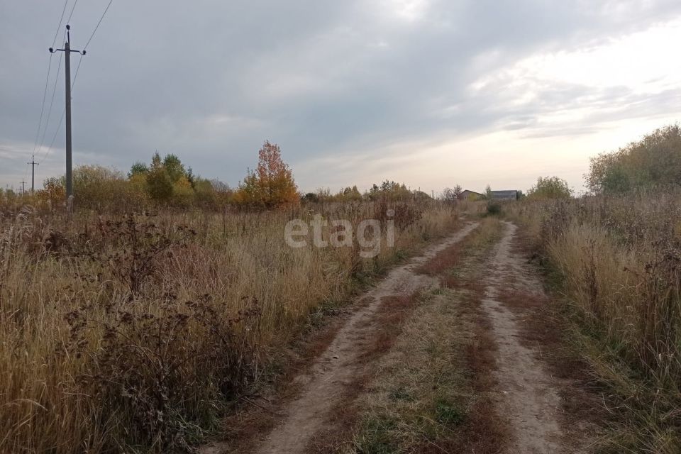 земля р-н Слободо-Туринский село Туринская Слобода фото 3