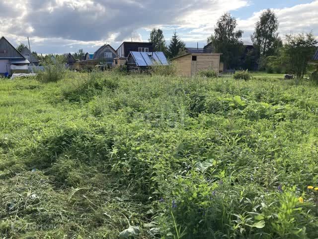 городской округ Сыктывкар, территория Эжвинский, СНТ Парма-3 фото