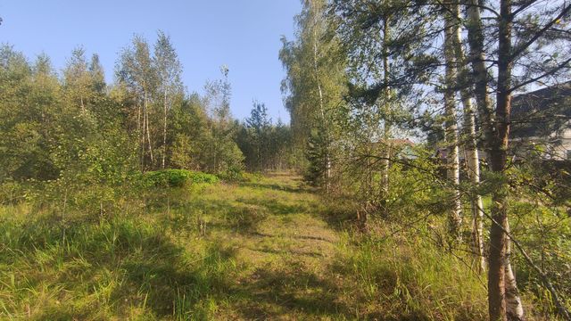 д Старое Мелково Зверовод-1  ориентир, Редкино фото