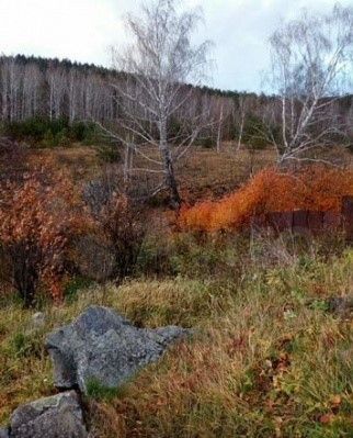 земля г Миасс ул Заповедная городской округ Миасс фото 1