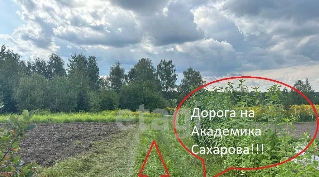 земля р-н Брянский Стародуб, Заря, садоводческое товарищество фото 5