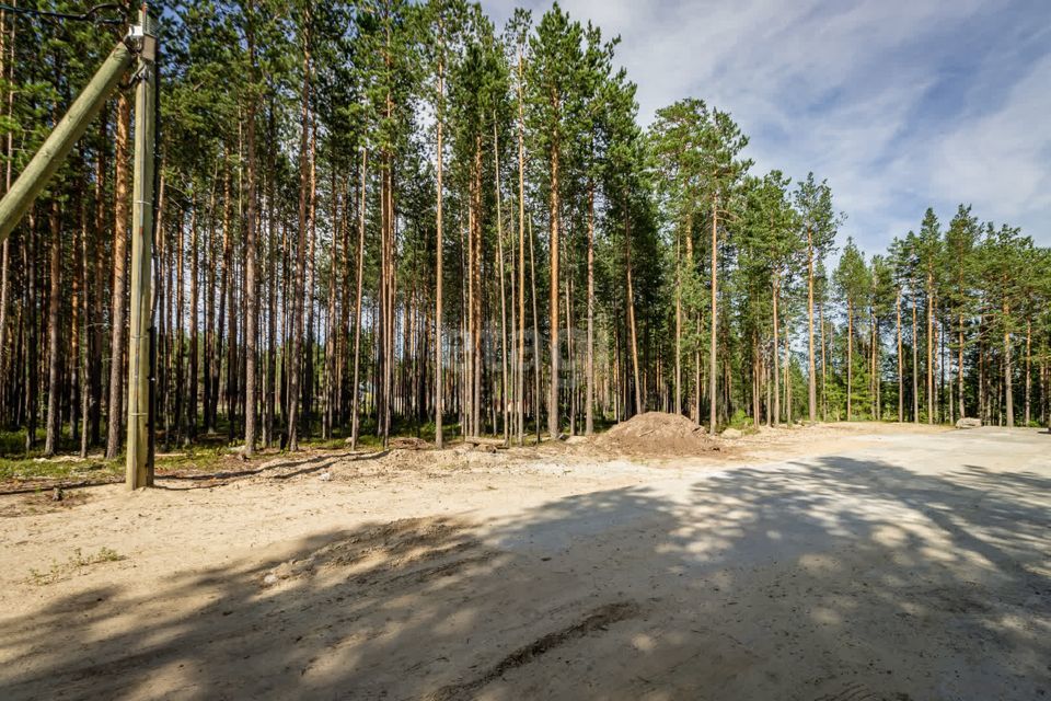 земля г Сургут городской округ Сургут, ДНТ Алтай фото 8