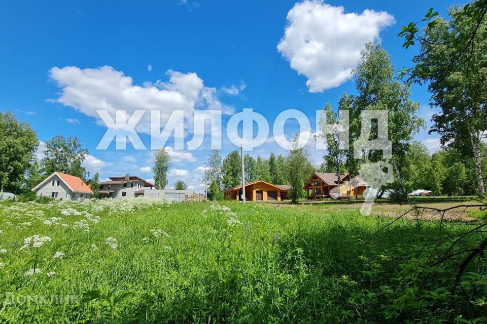земля р-н Новосибирский ТСН Солнечное озеро, Солнечная улица фото 5