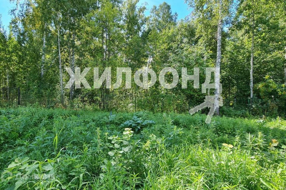 земля р-н Новосибирский ТСН Солнечное озеро, Солнечная улица фото 8