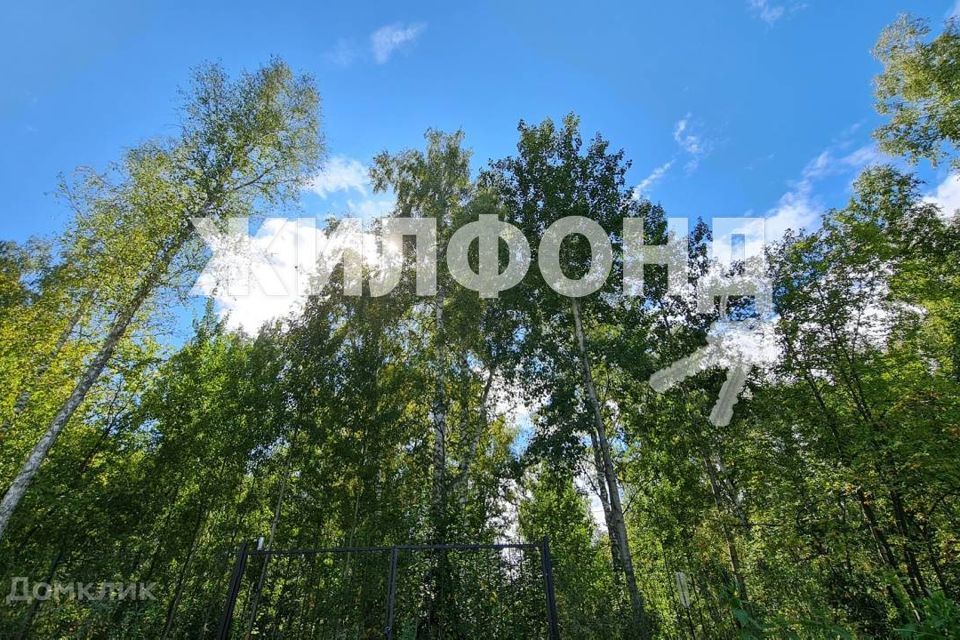 земля р-н Новосибирский ТСН Солнечное озеро, Солнечная улица фото 9