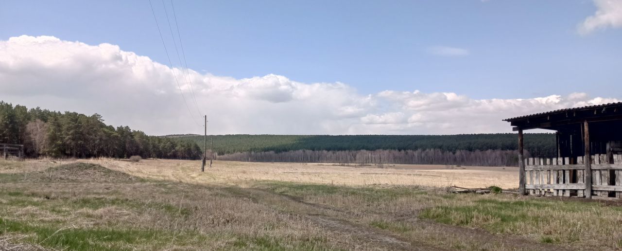 земля р-н Краснотуранский с Лебяжье Краснотуранск фото 3