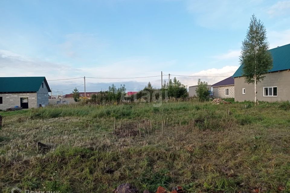 земля г Бердск городской округ Бердск, ТЛПХ Любавино фото 2