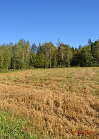 г Зубцов д Борки Борковский сельский округ, ул. Барские пруды фото