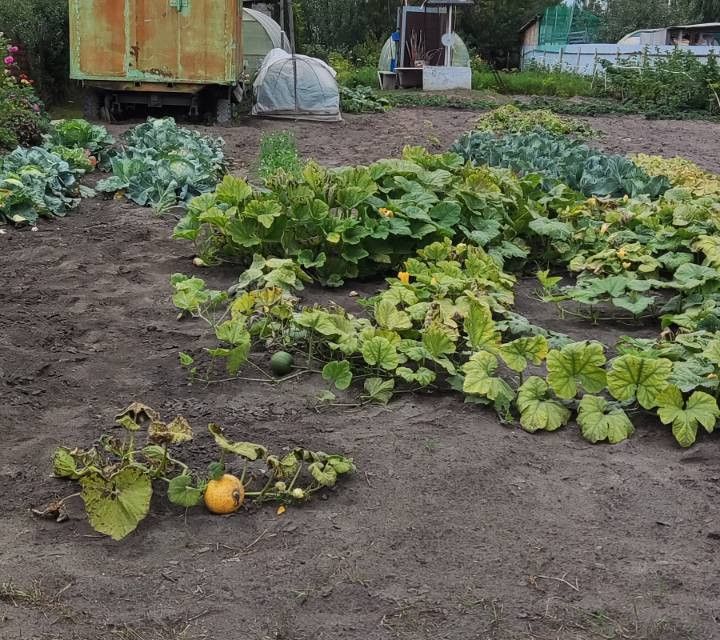 дом г Тюмень снт Виктория-1 ул Центральная городской округ Тюмень фото 1