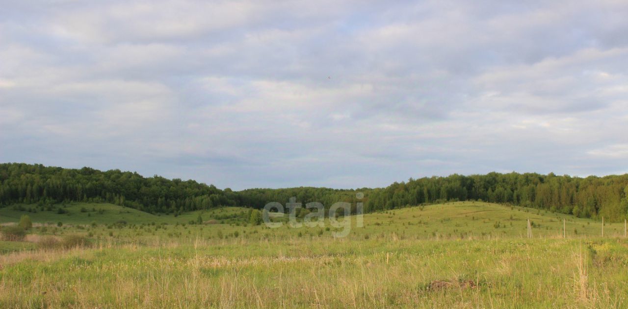 земля р-н Рузаевский с Ключарево фото 3
