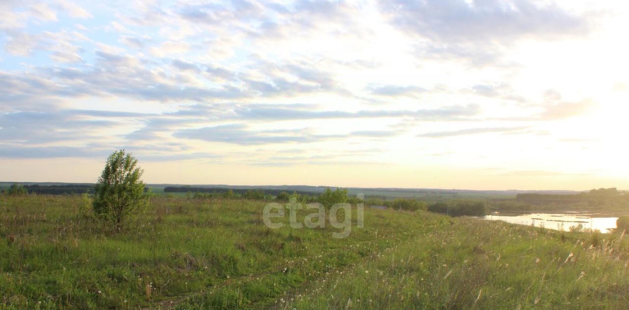 земля р-н Рузаевский с Ключарево фото 8