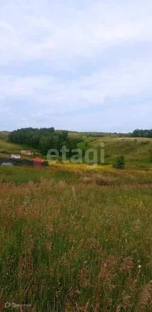 земля г Красноярск городской округ Красноярск, Октябрьский район фото 6