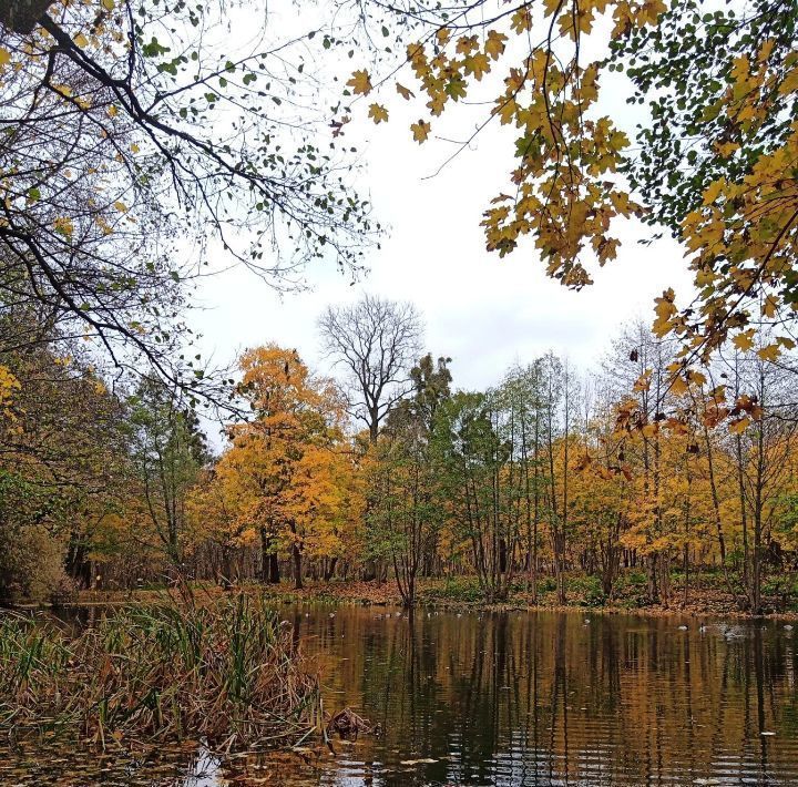 комната г Калининград р-н Московский ул Аллея смелых 187 фото 34