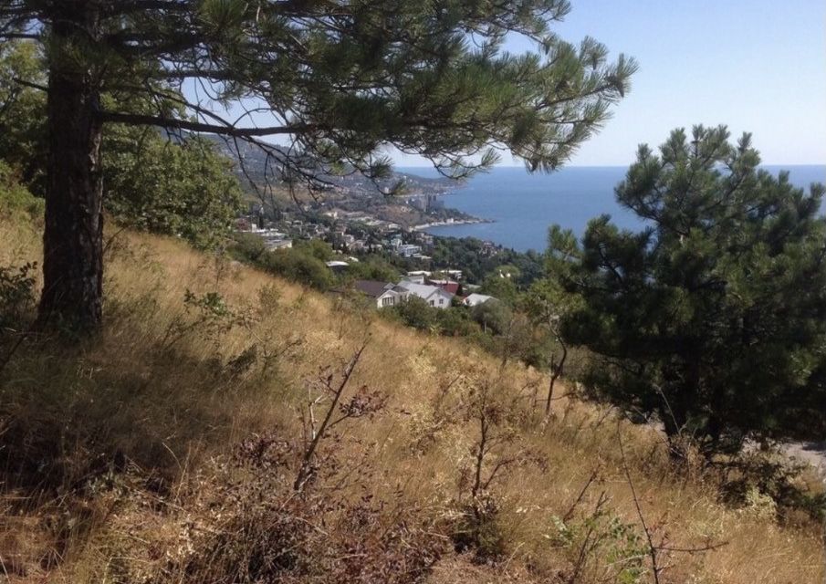 земля г Ялта г Алупка ш Севастопольское городской округ Ялта фото 1