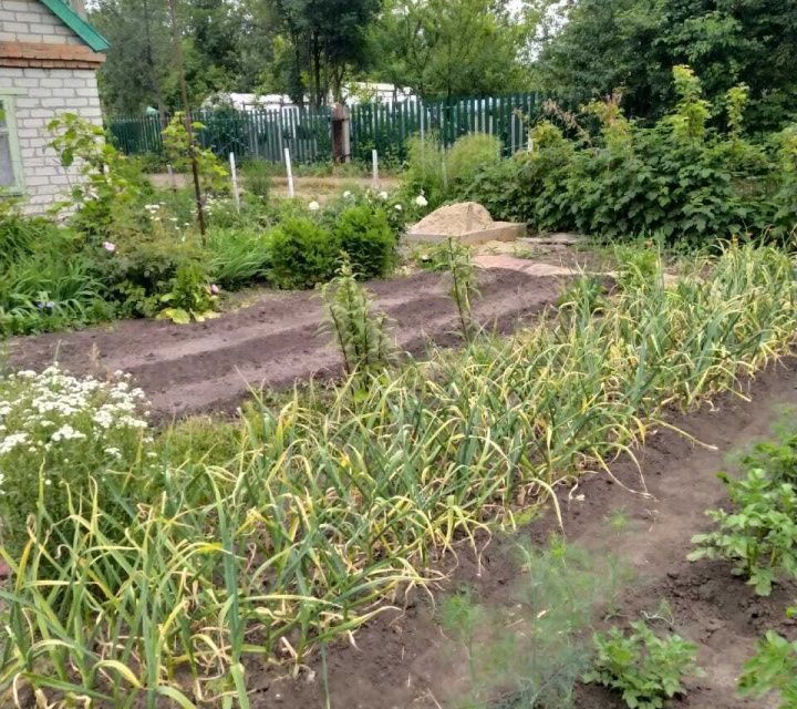 дом г Димитровград городской округ Димитровград, СТ Мукомол фото 5