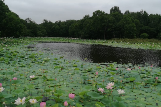 земля село Нагорное фото