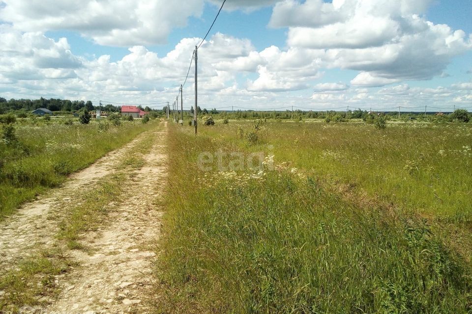 земля р-н Шимский рп Шимск Р-56, 49-й километр фото 3