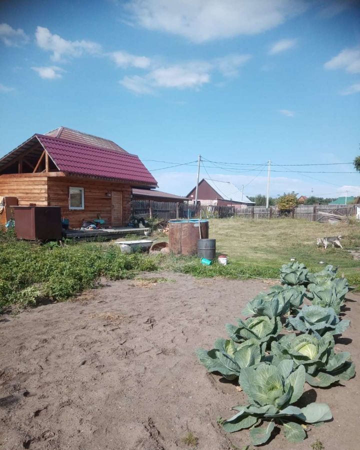 дом г Минусинск рп. Зелёный Бор, Респ Хакасия, Абакан фото 5