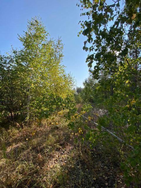 земля г Якутск городской округ Якутск, Берёзовая улица фото 4